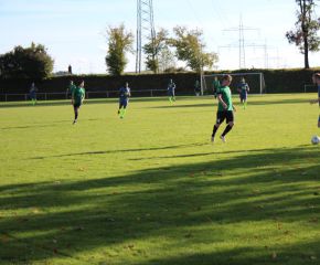 SGM RIngschnait - FCW98.jpg