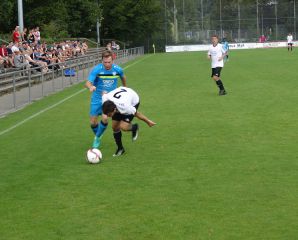 Warthausen_Birkenhard19.jpg