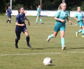 Bellamont II - FCW50.jpg