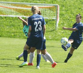 Dettingen-FCW14.jpg