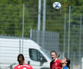 FCW - Baltringen16.jpg