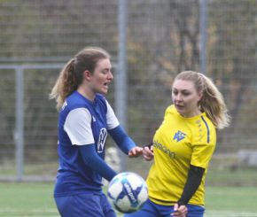 FCW - Bellamont II26.jpg
