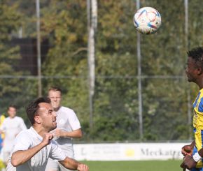 FCW - Birkenhard 23-2412.jpg