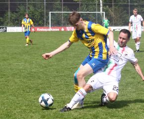 FCW - Ringschnait16.jpg