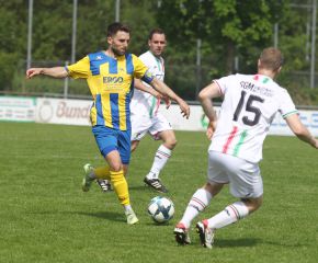 FCW - Ringschnait24.jpg
