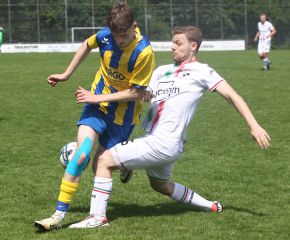 FCW - Ringschnait3.jpg