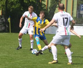 FCW - Ringschnait8.jpg