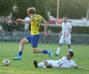 FCW - SGM Ringschnait30.jpg