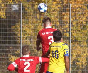 FCW II - Detingen II39.jpg