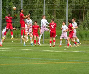 FCW- TSV TT3.jpg