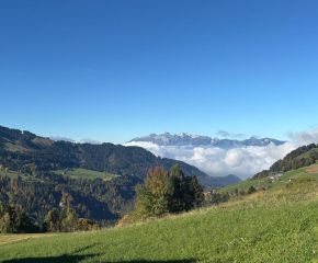 Jugendtrainer Laterns27.jpg