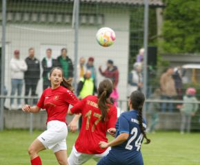 Reinstetten - FCW11.jpg