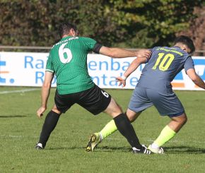 Ringschnait - FCW17.jpg