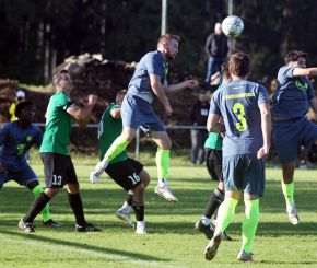 Ringschnait - FCW25.jpg