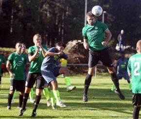 Ringschnait - FCW34.jpg