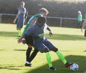Ringschnait - FCW41.jpg