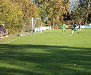 SGM RIngschnait - FCW126.jpg