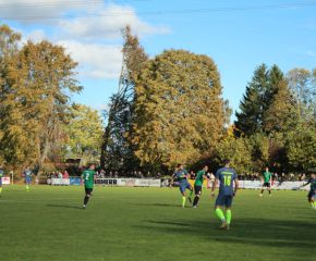 SGM RIngschnait - FCW22.jpg