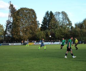 SGM RIngschnait - FCW30.jpg