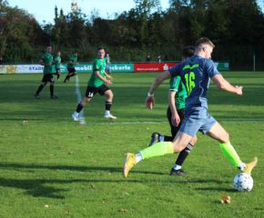 SGM RIngschnait - FCW88.jpg