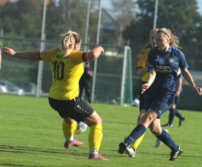 Alberweiler IIi - FCW14.jpg