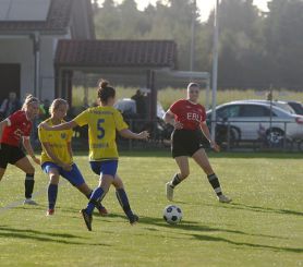 Baltringen - FCW11.jpg