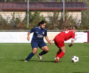 Baltringen - FCW28.jpg