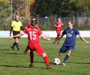 Baltringen - FCW39.jpg