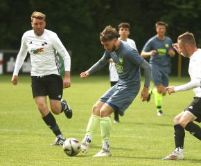 Bellamont - FCW27.jpg