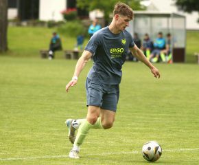 Bellamont - FCW31.jpg