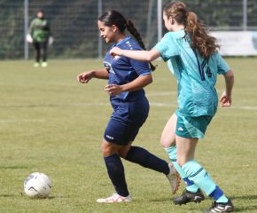 Bellamont II - FCW45.jpg