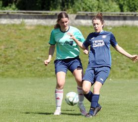 Dettingen-FCW5.jpg
