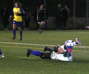 FCW - Bellamont II16.jpg