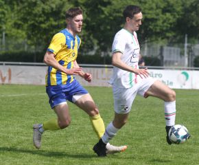 FCW - Ringschnait15.jpg