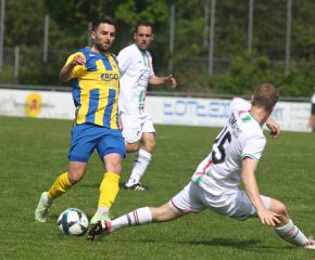 FCW - Ringschnait25.jpg