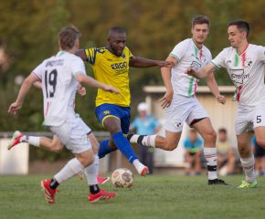 FCW - Ringschnait7.jpg