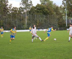 FCW - SGM Birkenhard 23-2424.jpg