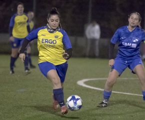 FCW II - Bellamont III8.jpg