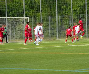 FCW- TSV TT13.jpg