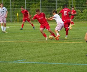 FCW- TSV TT2.jpg