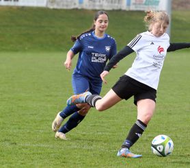 KIrcb-Dettg. - FCW23.jpg