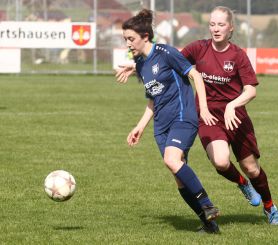 Laupertshausen - FCW15.jpg