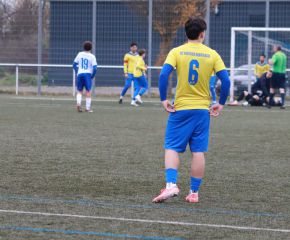 Laupheim II - FCW I1.jpg