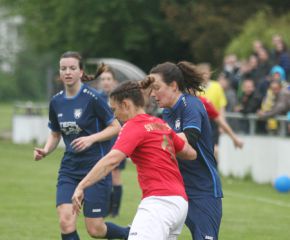 Reinstetten - FCW33.jpg