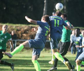 Ringschnait - FCW11.jpg