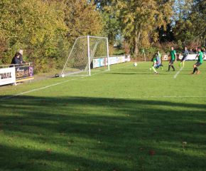 SGM RIngschnait - FCW127.jpg