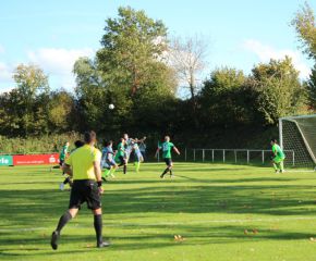 SGM RIngschnait - FCW15.jpg