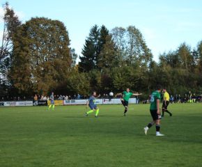 SGM RIngschnait - FCW31.jpg