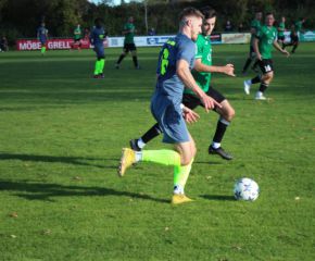SGM RIngschnait - FCW86.jpg