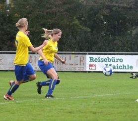 fCW - SGM Dettingen4.jpg